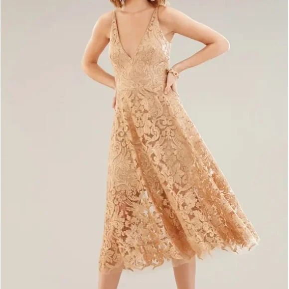 Dress the Population | Dresses | Dress The Population Blair Sequin Lace Fit Flare Midi Dress Goldnude | Poshmark Dress the Population | Dresses | Dress The Population Blair Sequin Lace Fit Flare Midi Dress Goldnude | Poshmark